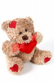 Brown Teddy Bear on White background