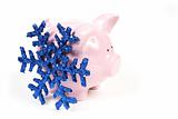 Pink Piggy Bank with snowflake