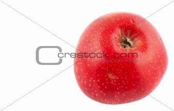 tasty  red apple - pure white background