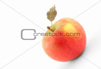 tasty apple with dry leaf on white