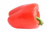 red paprika - pure white background