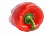 red paprika - pure white background