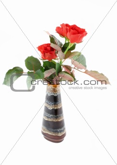 red roses in vase