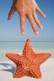 Starfish and Hand