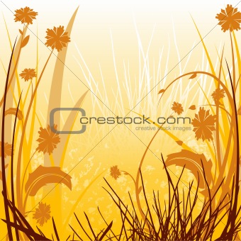 Floral Sunlit Countryside