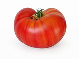 Bicolor Striped Beefsteak Tomato: Northern Lights