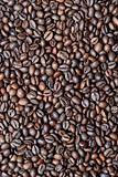 Fresh roasted coffee beans