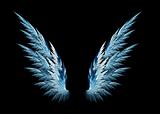 Blue angel wings