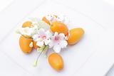 Kumquats and flower