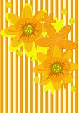 Yellow Flower background