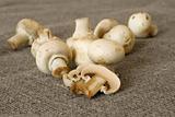 table mushrooms