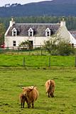 Highland farm