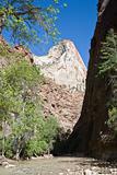 Zion National Park Utah USA (AW)