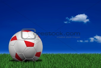 Polish soccer ball