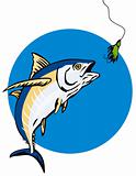 Albacore Tuna taking the bait