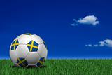 Swedish soccer ball