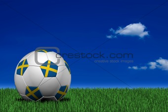 Swedish soccer ball