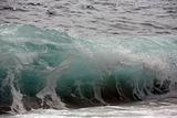 Sea wave