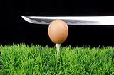 Egg on golf tee  