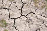 Close up picture of cracked dried soil