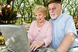 Seniors Browsing the Internet