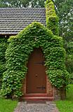 vine covered church building
