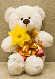 toy bear with gift