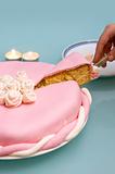 pink cake slice