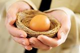 Hands holding nest with an egg