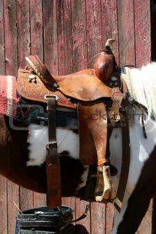 Saddled horse near a barn
