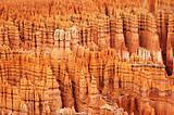 Bryce Canyon National Park USA (LT)