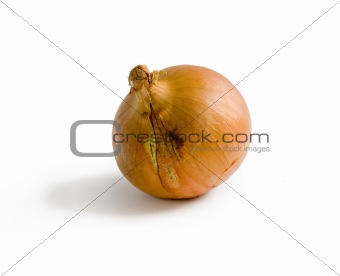 Onion with shadow on white bacground