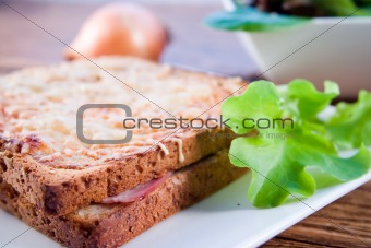 Grilled french sandwich with salad
