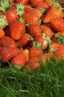 strawberry on the grass