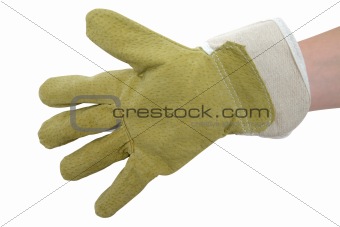 Protective Glove
