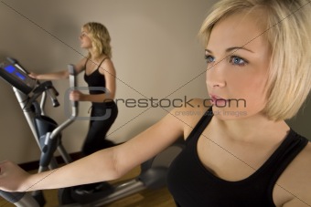 Women At The Gym