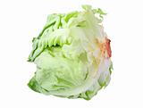 lettuce head on white