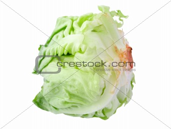 lettuce head on white