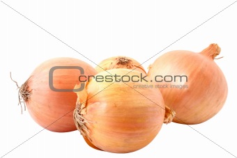 onions - pure white background