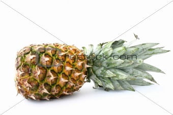 pineapple on white #2