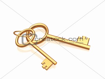 Two gold keys on a glossy white background