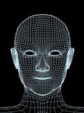 Head of the person from a  3d grid
