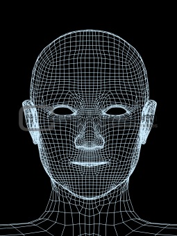 Head of the person from a  3d grid