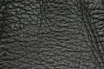 black leather texture details