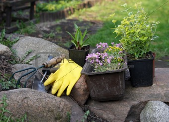 flowers and equipment in garden