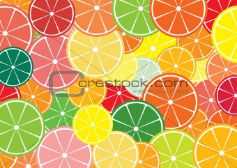 Citrus slices multicolored background.