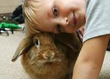 The boy with the rabbit