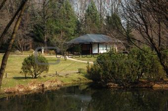 Japanese garden with tea room and a pond