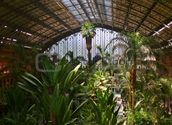 Tropical green house