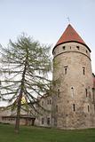 Towers of Old city Tallinn